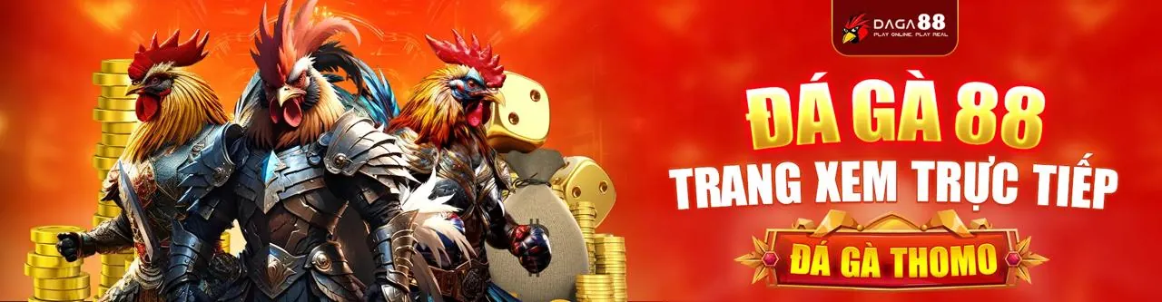 Đá gà trực tuyến mp66 với trận đấu kịch tính